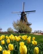 オランダ風景